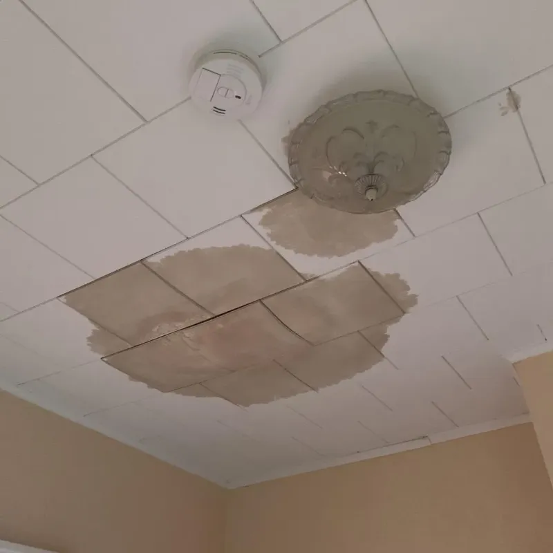 Ceiling Water Damage Repair in Suitland, MD